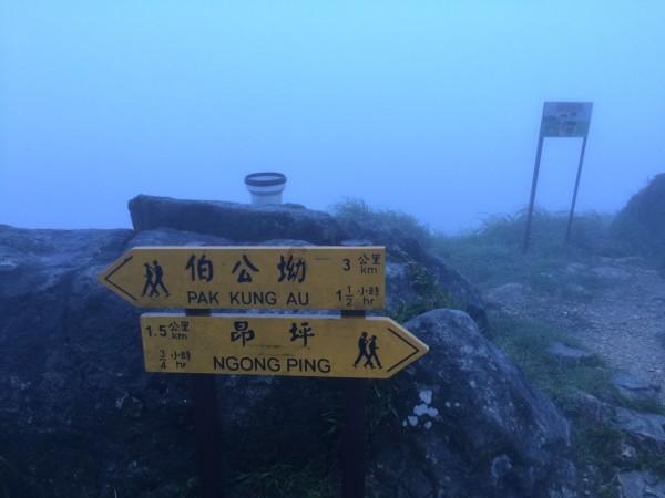 时间教授